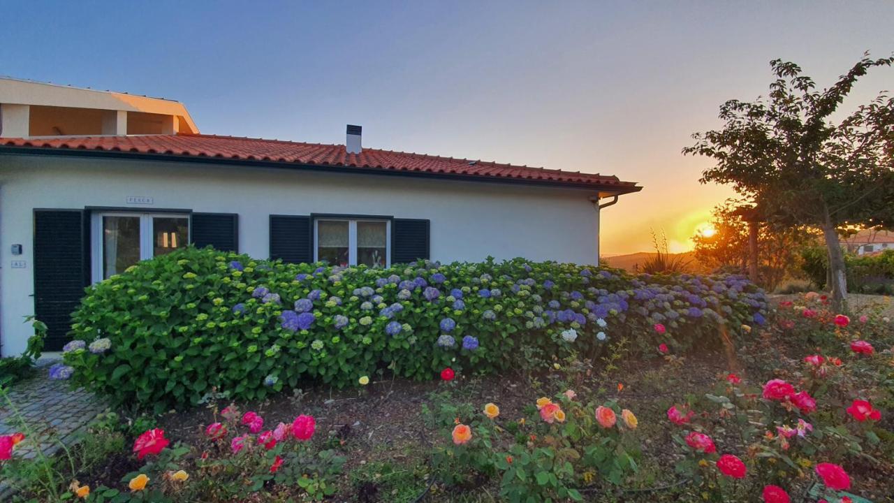Coja Mountain Perch Villa Vinho  Buitenkant foto