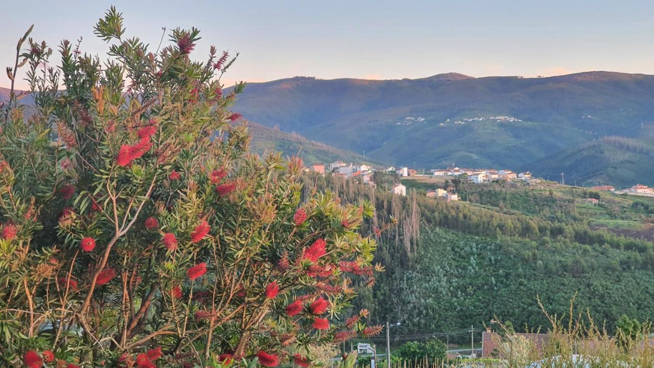 Coja Mountain Perch Villa Vinho  Buitenkant foto