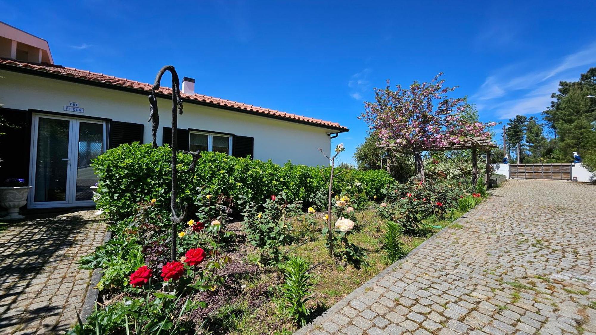 Coja Mountain Perch Villa Vinho  Buitenkant foto