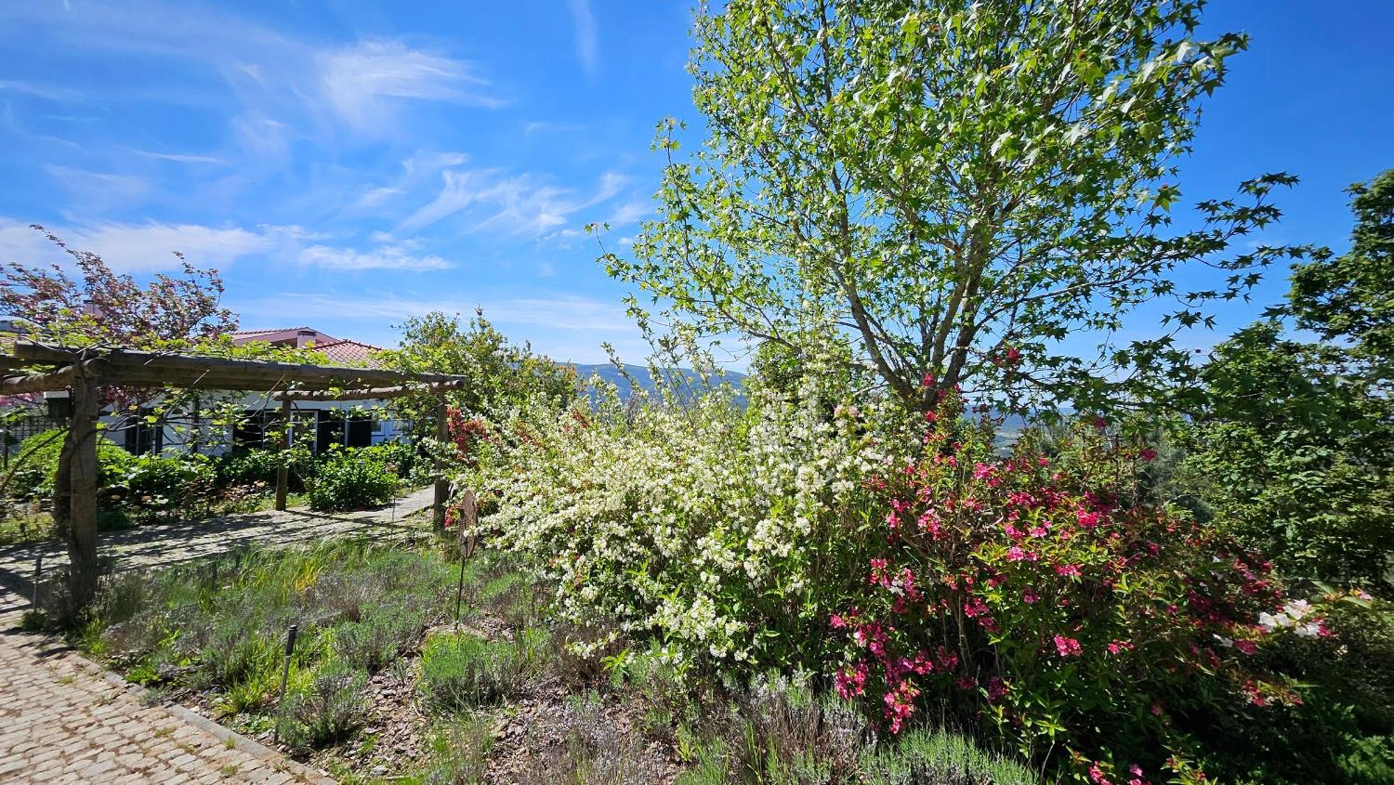 Coja Mountain Perch Villa Vinho  Buitenkant foto