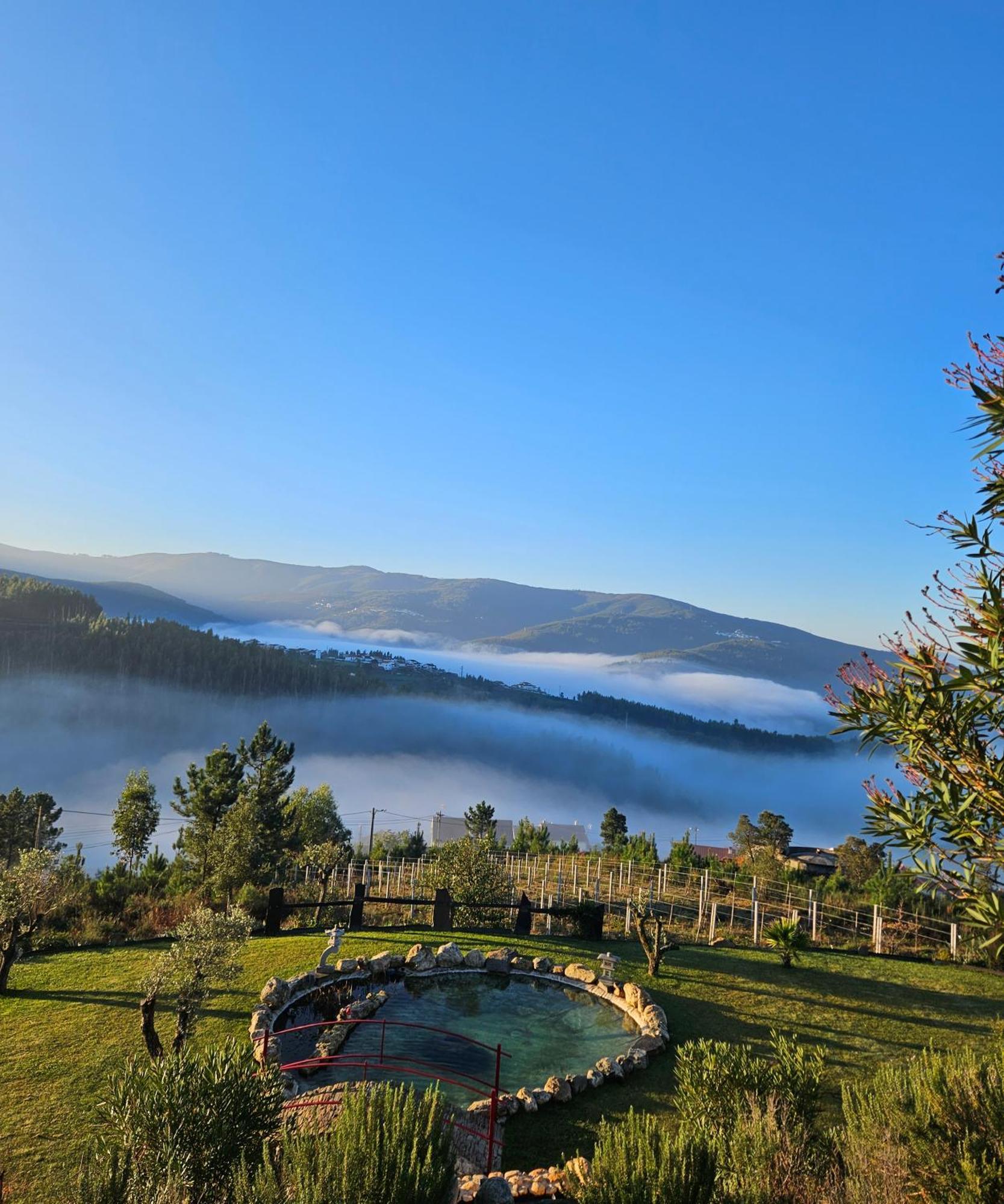 Coja Mountain Perch Villa Vinho  Buitenkant foto
